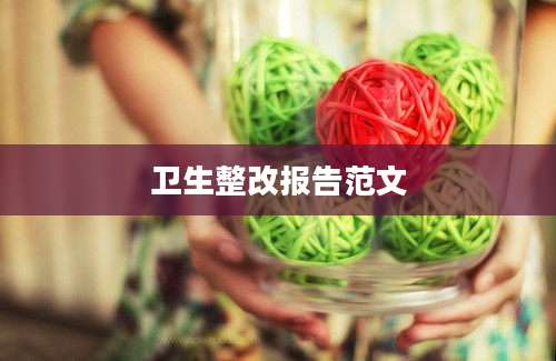 卫生整改报告范文