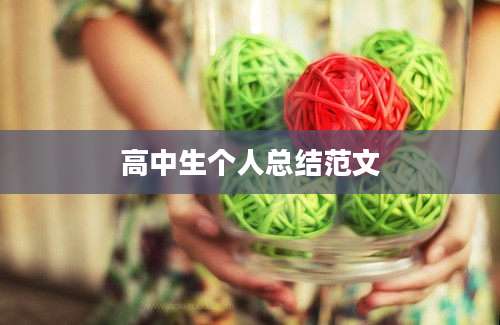 高中生个人总结范文