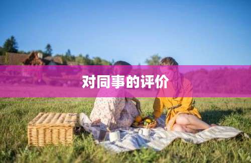 对同事的评价