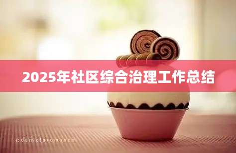 2025年社区综合治理工作总结
