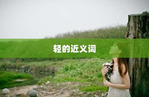 轻的近义词