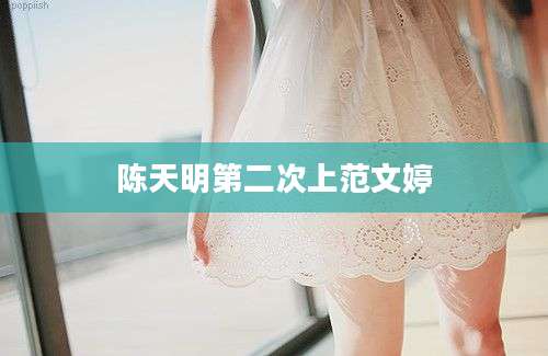 陈天明第二次上范文婷