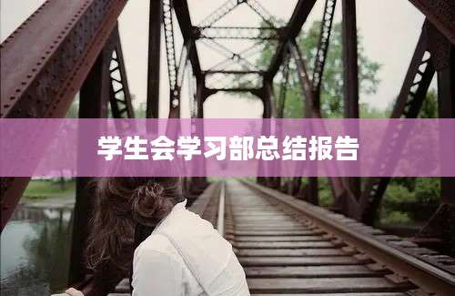 学生会学习部总结报告