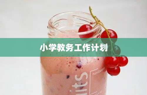小学教务工作计划