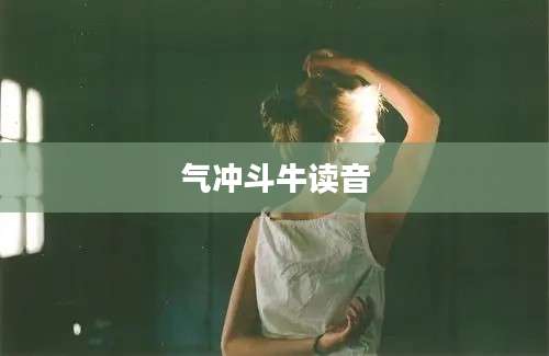 气冲斗牛读音