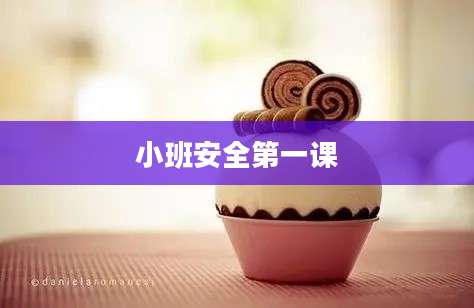 小班安全第一课