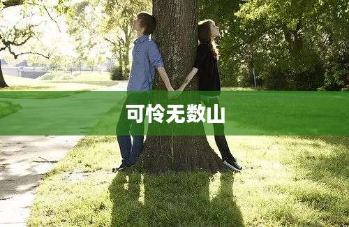 可怜无数山