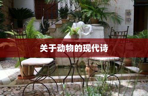 关于动物的现代诗