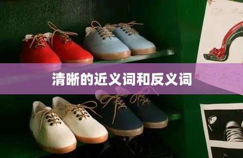 清晰的近义词和反义词