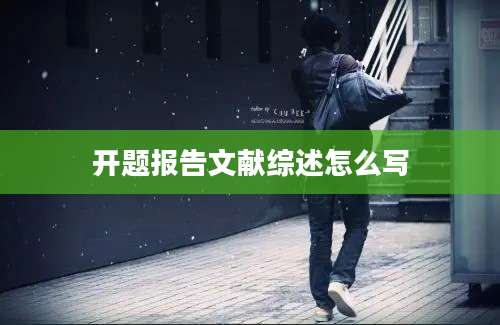开题报告文献综述怎么写