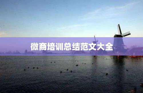 微商培训总结范文大全