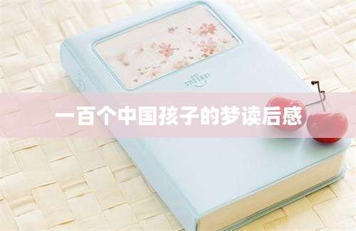 一百个中国孩子的梦读后感