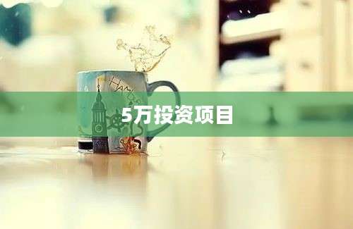 5万投资项目