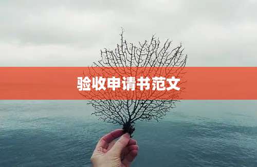 验收申请书范文