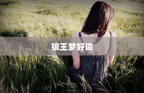狼王梦好词