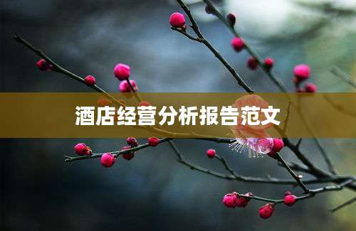 酒店经营分析报告范文