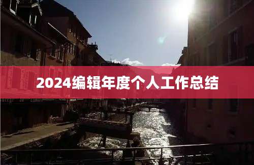 2024编辑年度个人工作总结