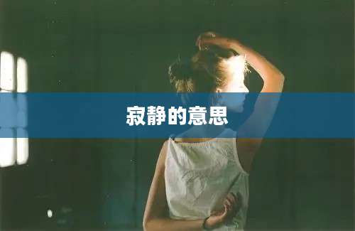 寂静的意思
