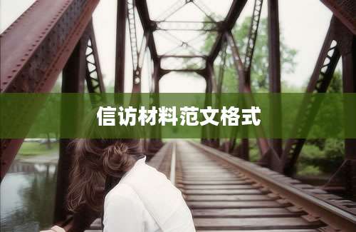 信访材料范文格式