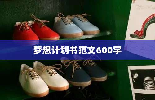 梦想计划书范文600字