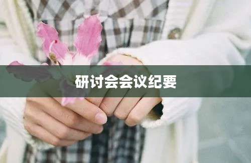 研讨会会议纪要