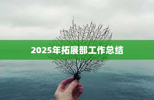 2025年拓展部工作总结