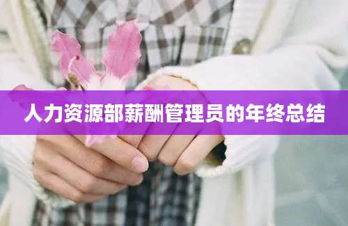 人力资源部薪酬管理员的年终总结