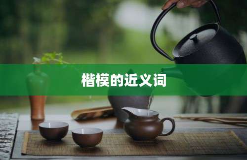楷模的近义词