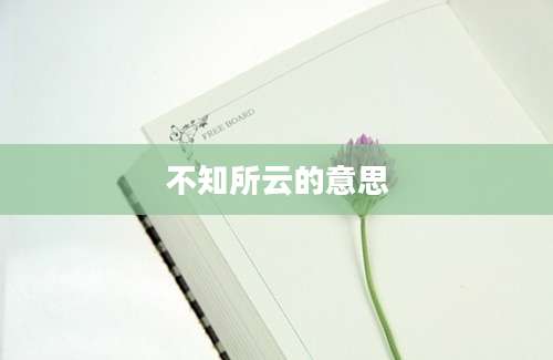 不知所云的意思