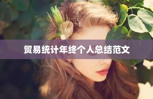 贸易统计年终个人总结范文