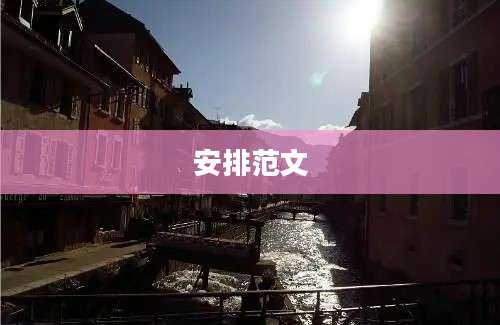 安排范文