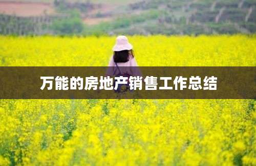 万能的房地产销售工作总结
