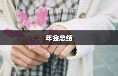 年会总结