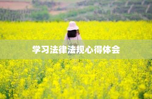 学习法律法规心得体会