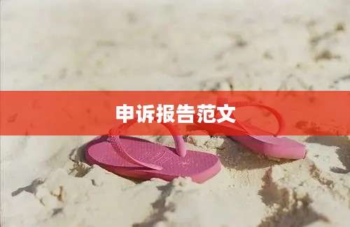 申诉报告范文