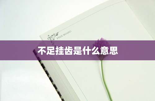 不足挂齿是什么意思