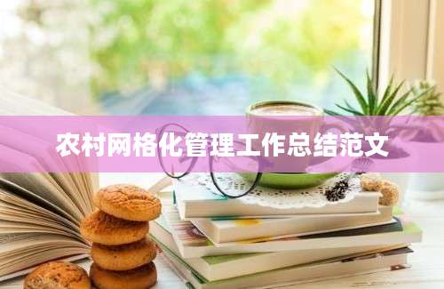 农村网格化管理工作总结范文