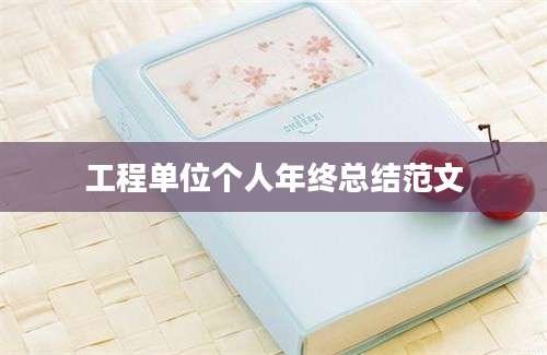 工程单位个人年终总结范文