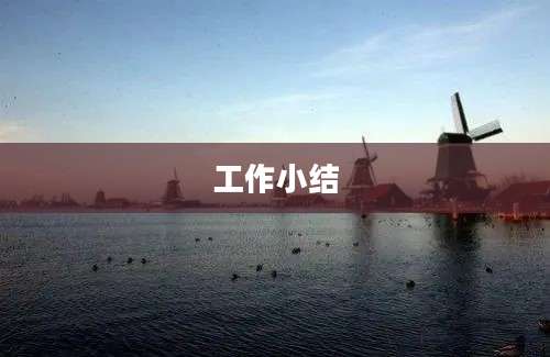 工作小结