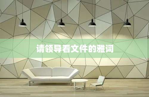请领导看文件的雅词