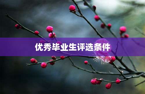 优秀毕业生评选条件