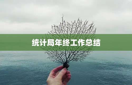 统计局年终工作总结