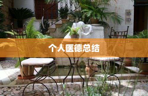 个人医德总结