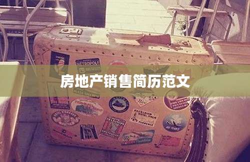 房地产销售简历范文