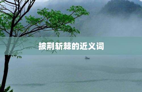 披荆斩棘的近义词