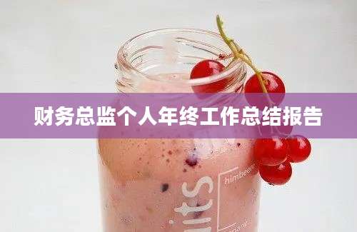 财务总监个人年终工作总结报告