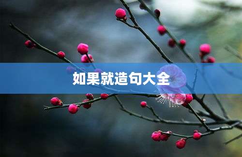 如果就造句大全