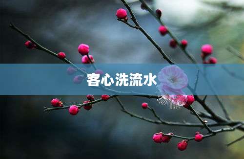 客心洗流水