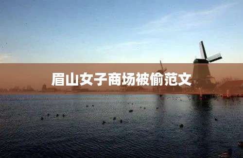 眉山女子商场被偷范文