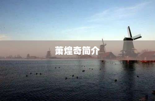 萧煌奇简介
